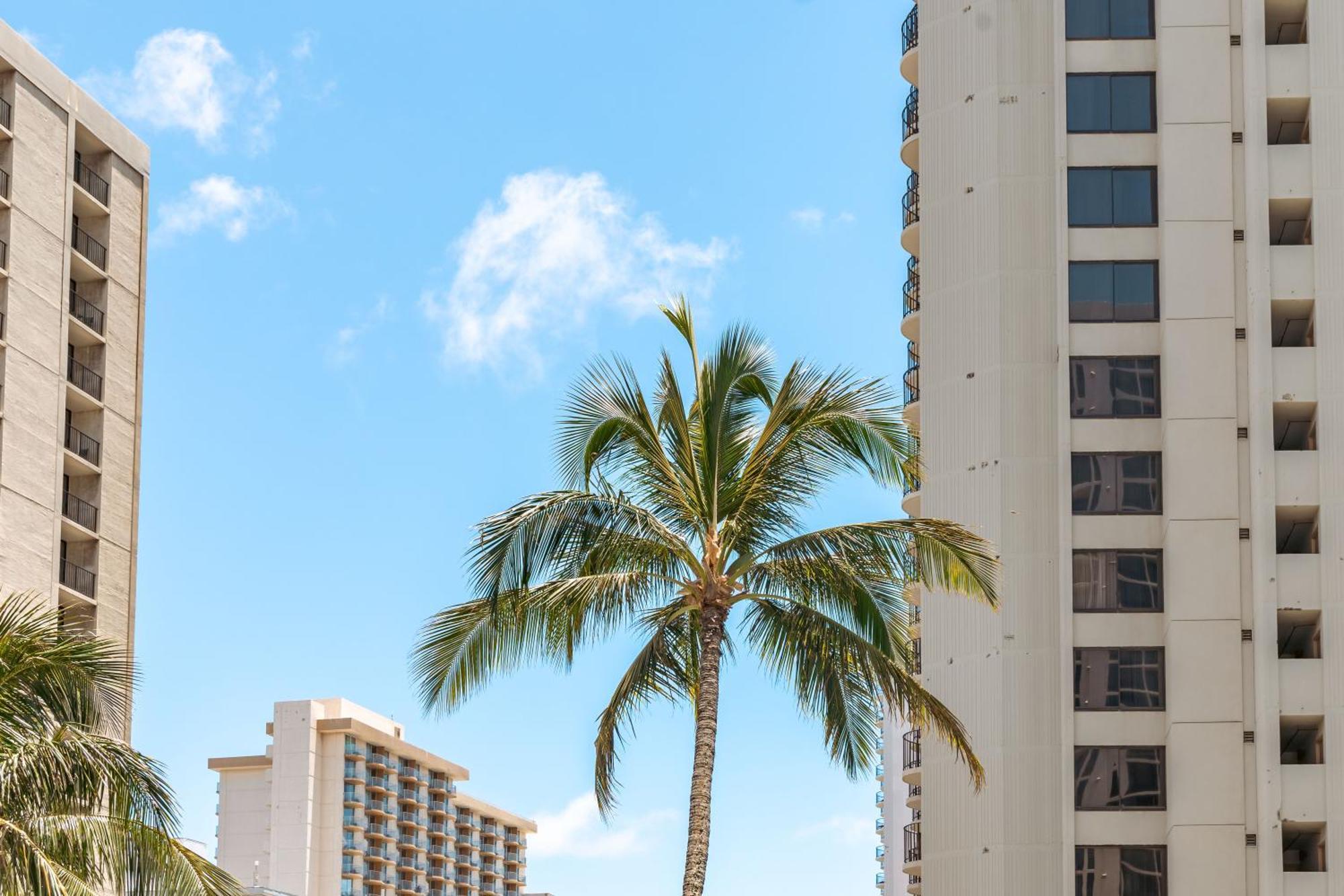 Ocean & Diamond Head Views - Near Beach - Parking! Honolulu Exterior foto